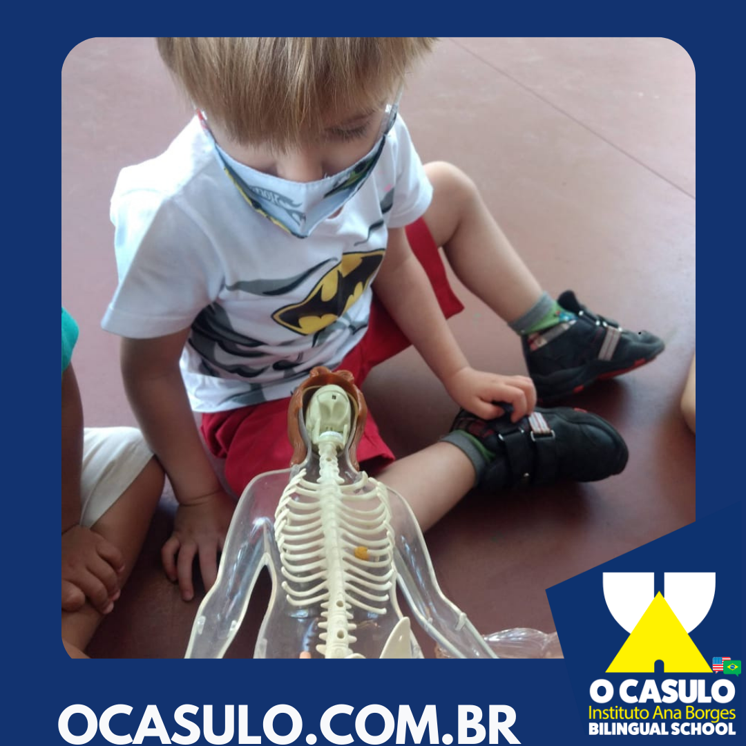 Conhecendo O Corpo Humano Professora Jessica O Casulo Bilingual School